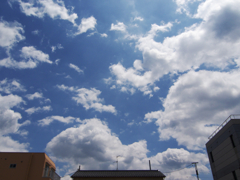 夏色にアレンジ♪