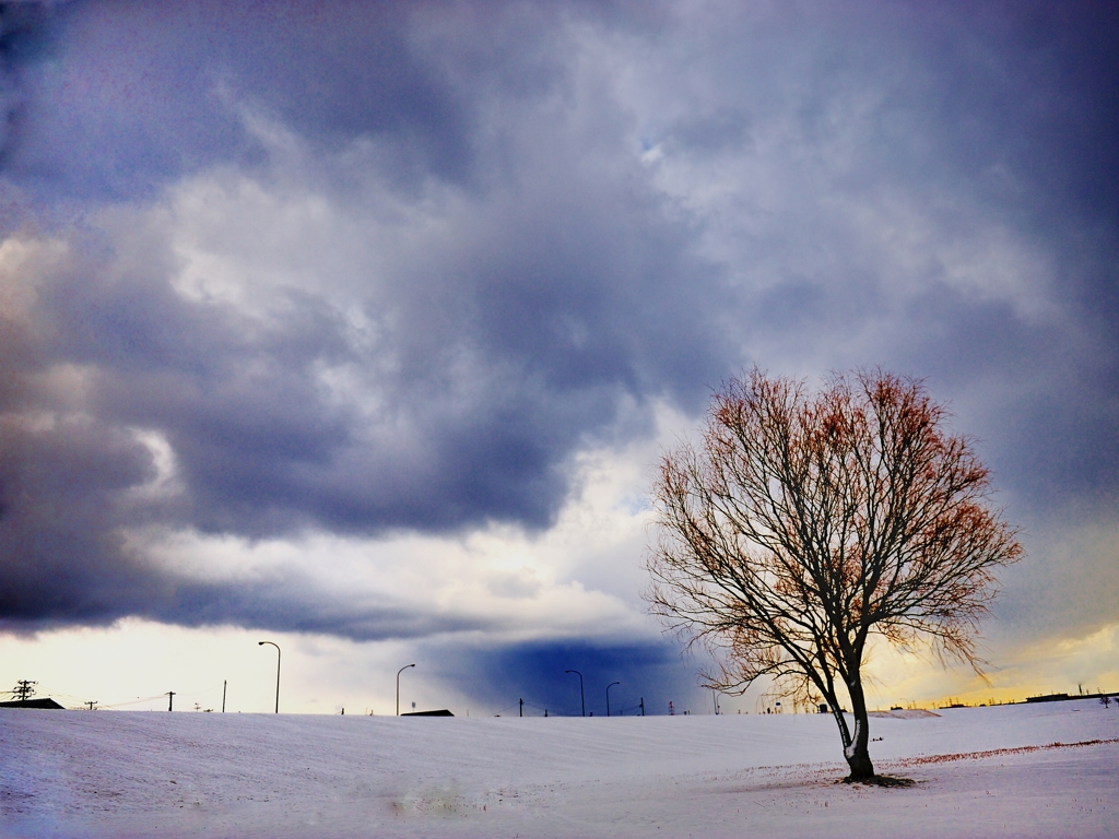 昇る雪雲