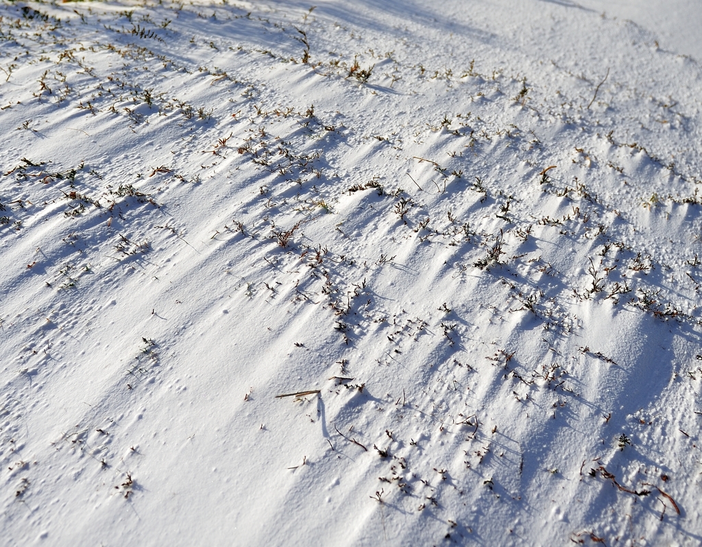 海から来た吹雪