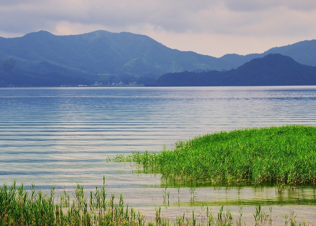 湖面の細波