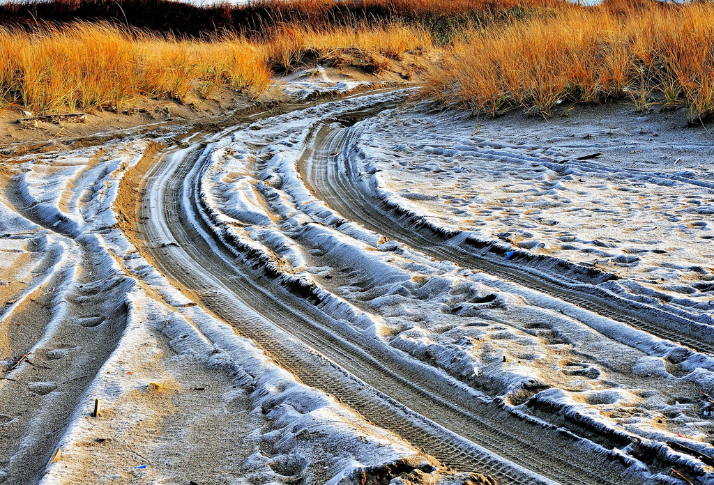 初霜の浜道