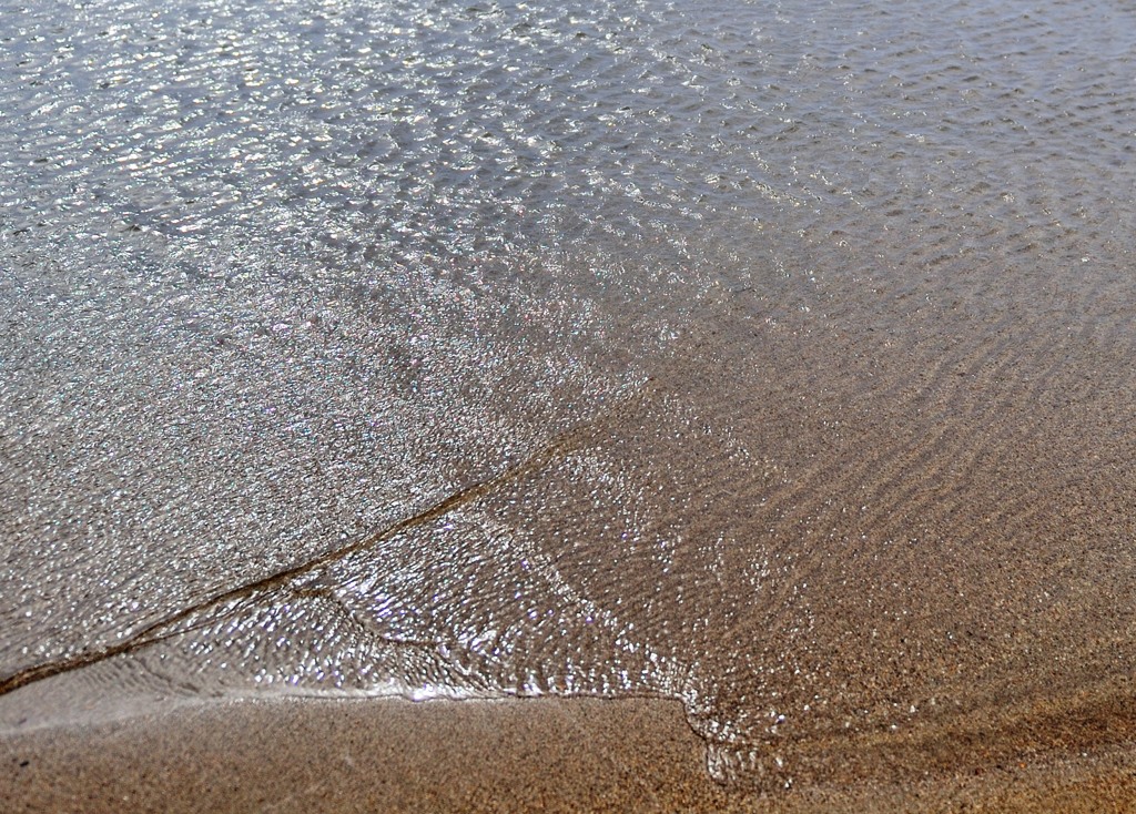 河口のお昼寝
