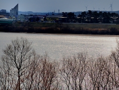 朝波の河岸で