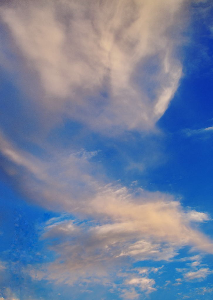 昇る秋雲