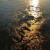 朝陽の流れ
