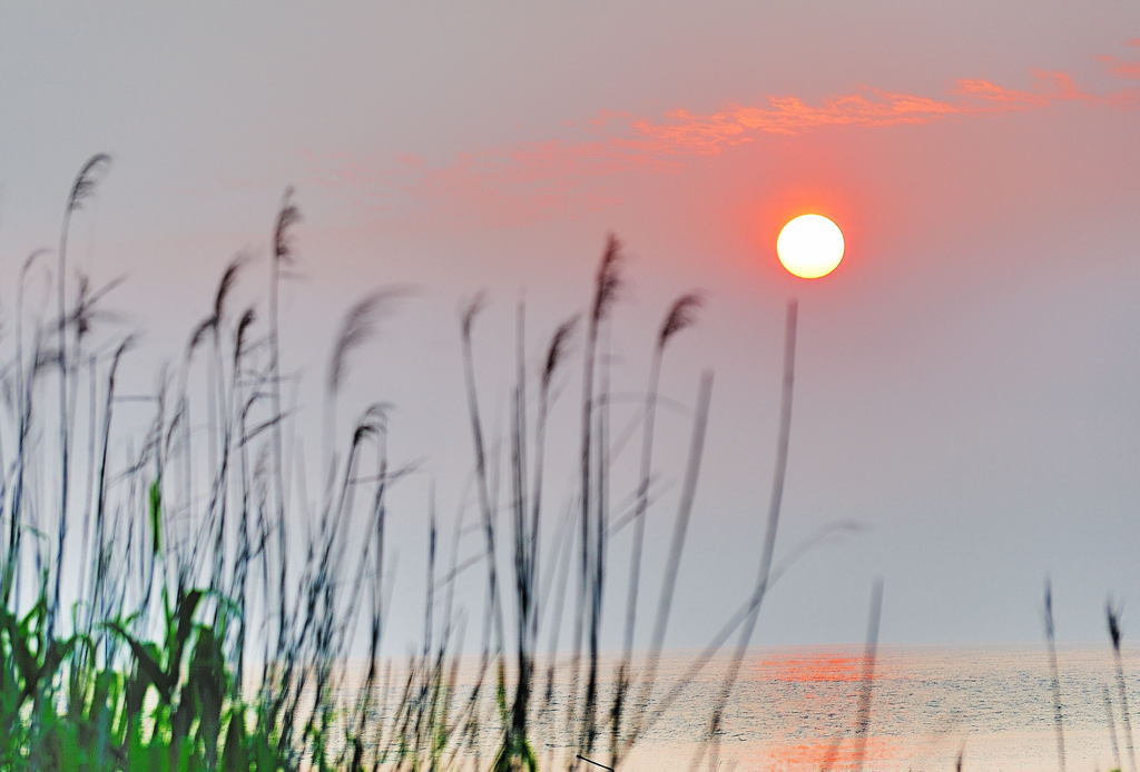 穏やかな夕映え