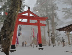 吹雪の初詣