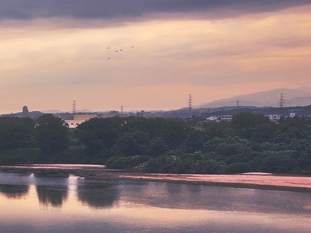 対岸の朝明け