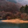 滲む光