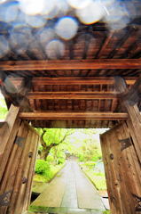 雨の山門