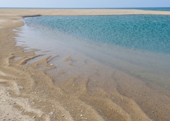 春風の浜辺