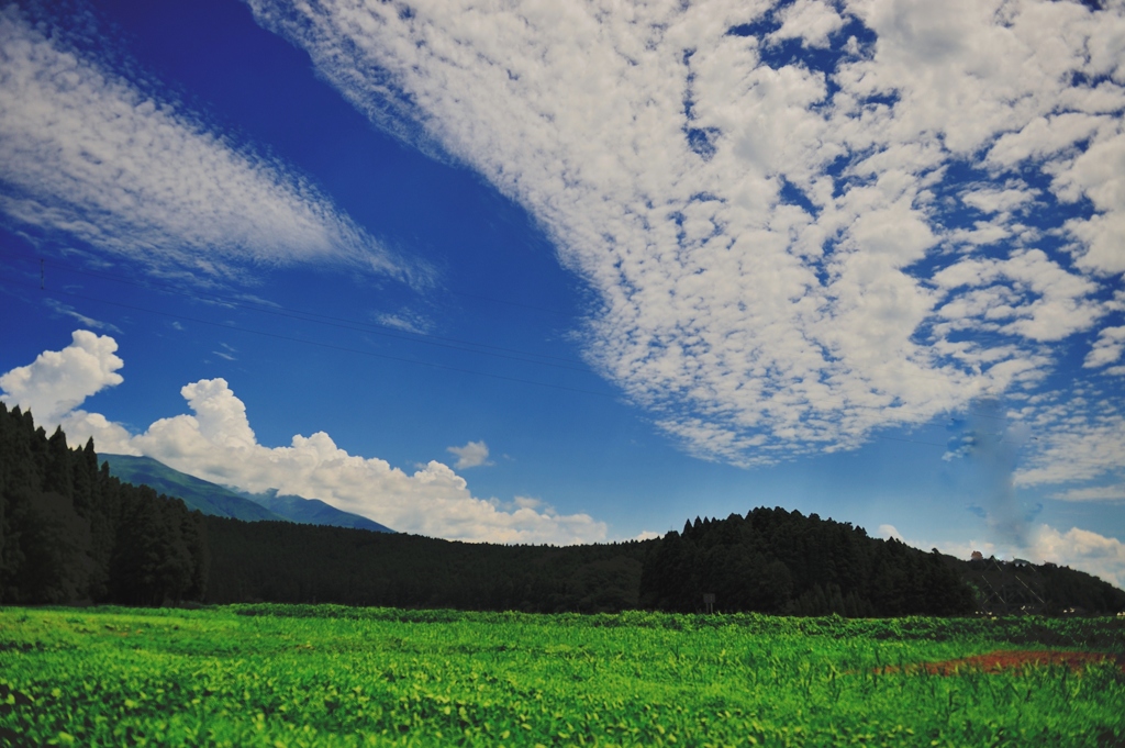 のびやかな夏雲
