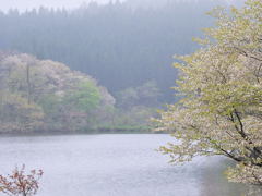 春おぼろ