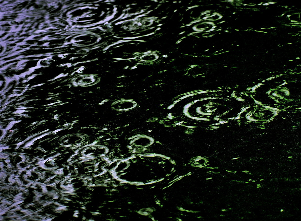 突然の雨