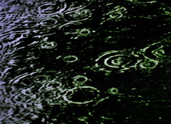 突然の雨