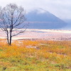 田沢湖草紅葉