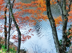 水面の秋風