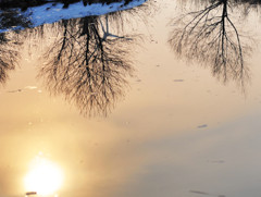 水面の夕日