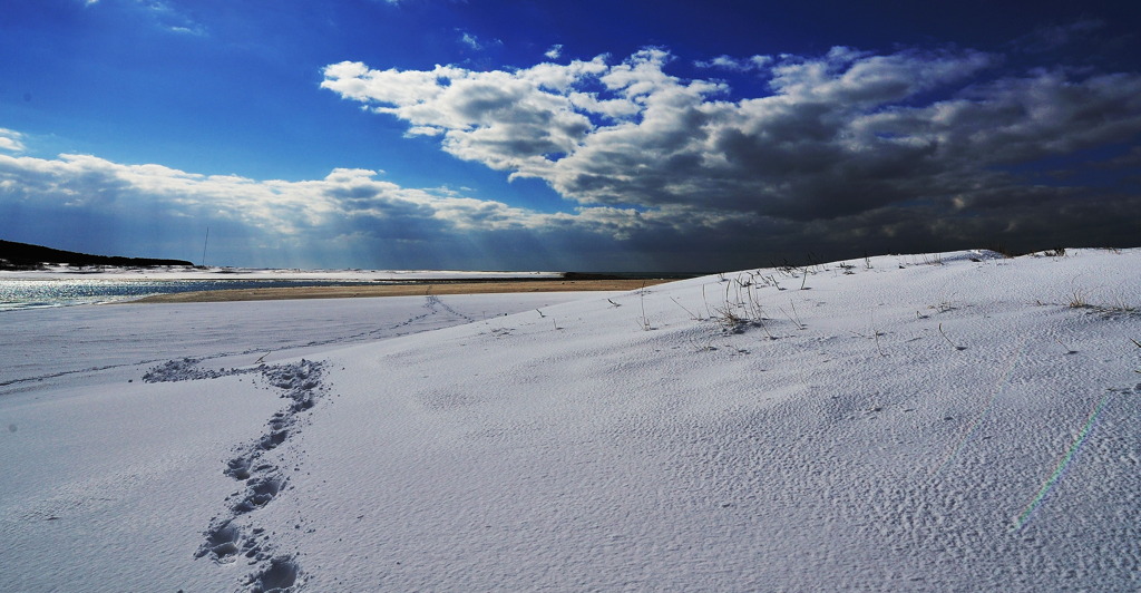 深い雪