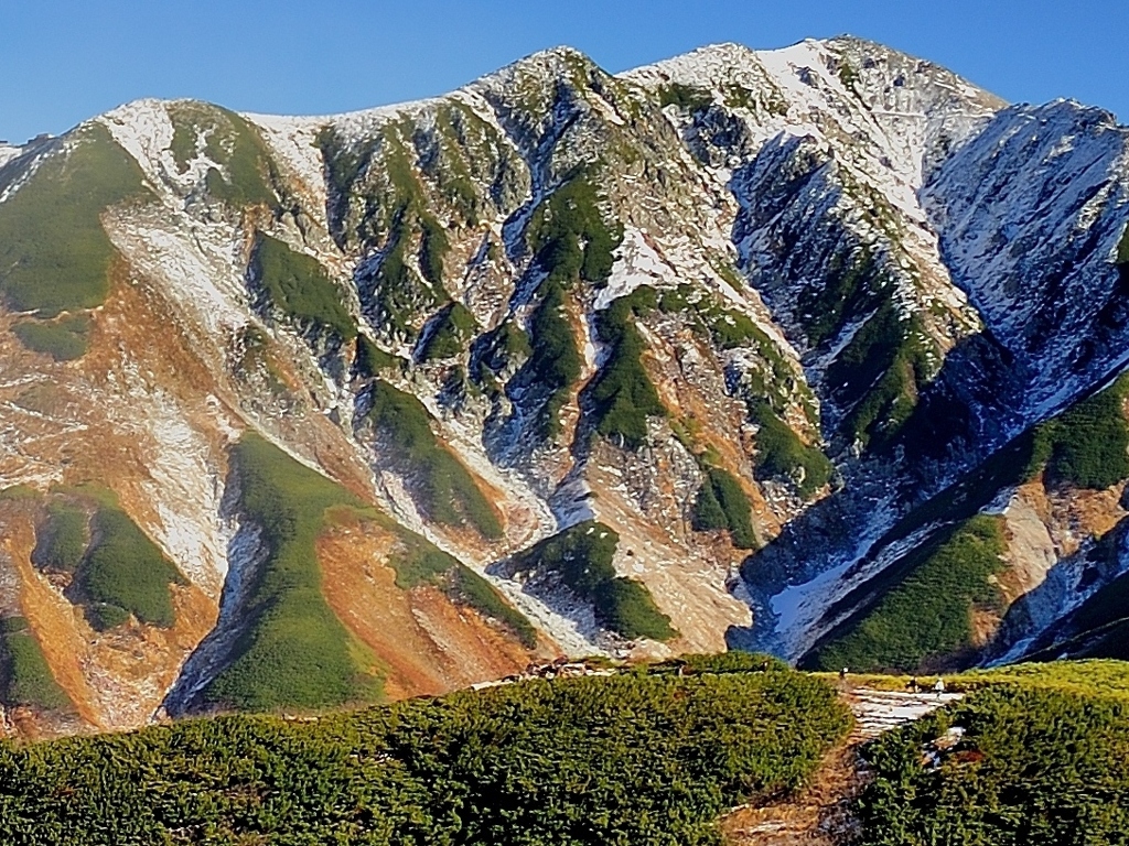逞しい山稜