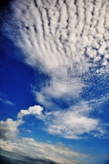 駆け登る夏雲