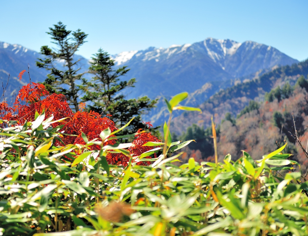立山遠望