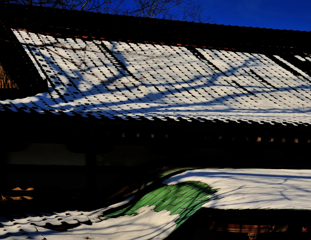 屋根に登る冬の影