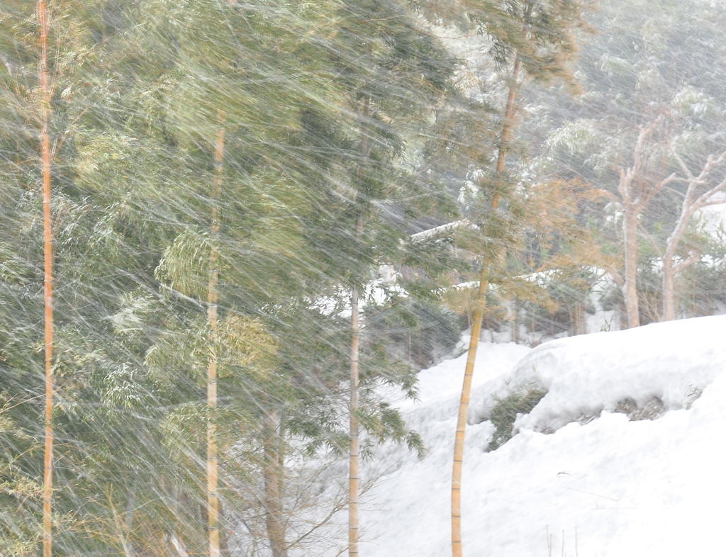 突然の吹雪