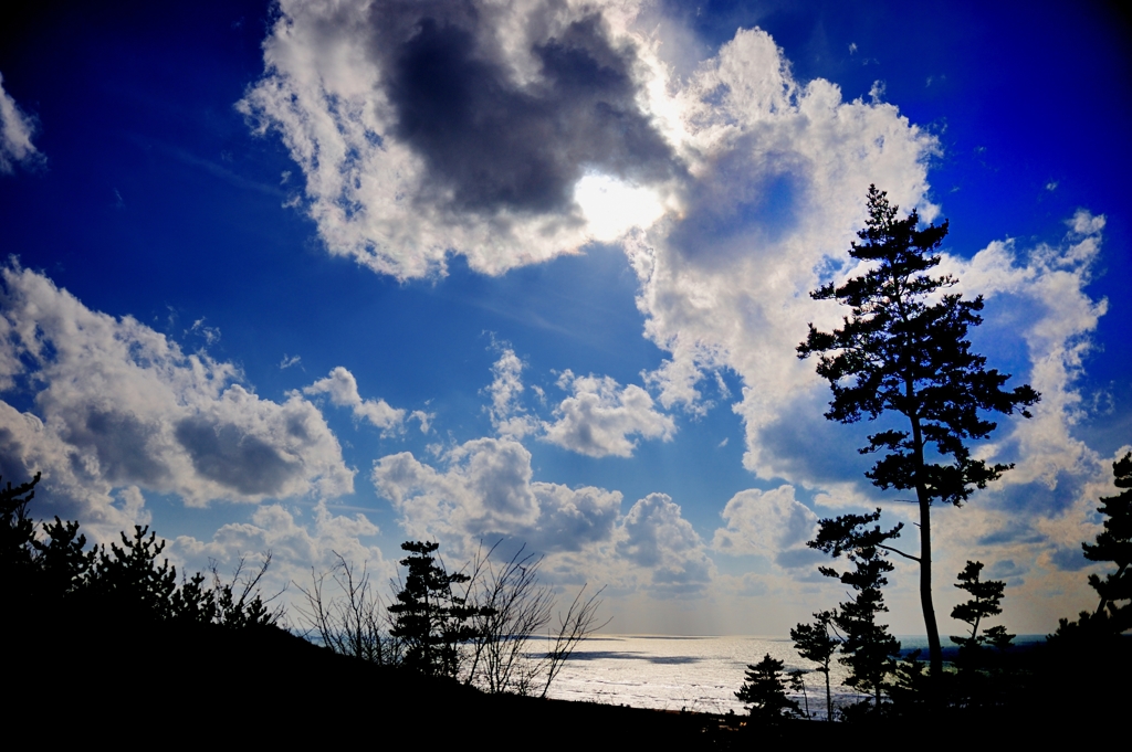 沖へ行く雲