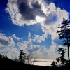 沖へ行く雲