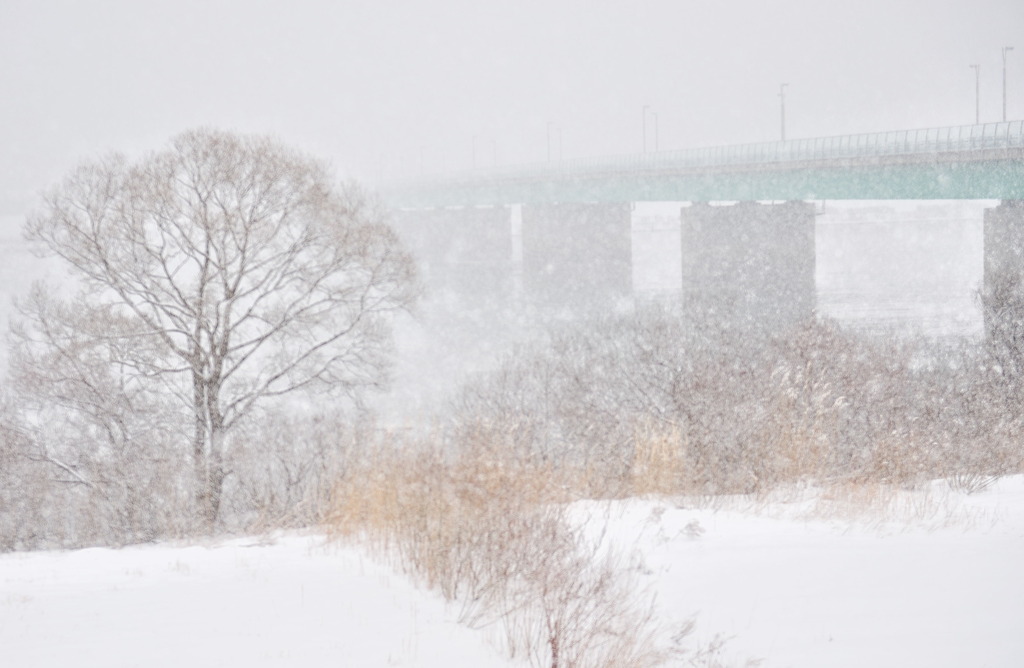 吹雪の橋