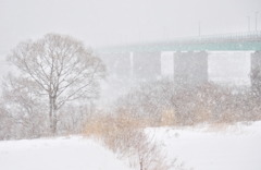 吹雪の橋