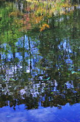 池の秋