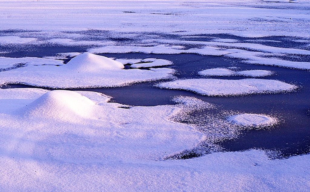 淡雪