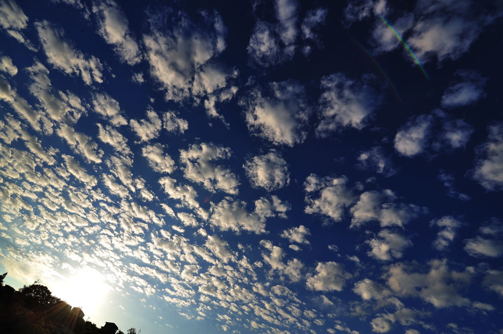 大漁いわし雲