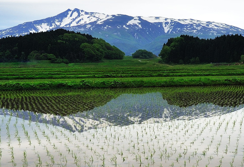 山を映して