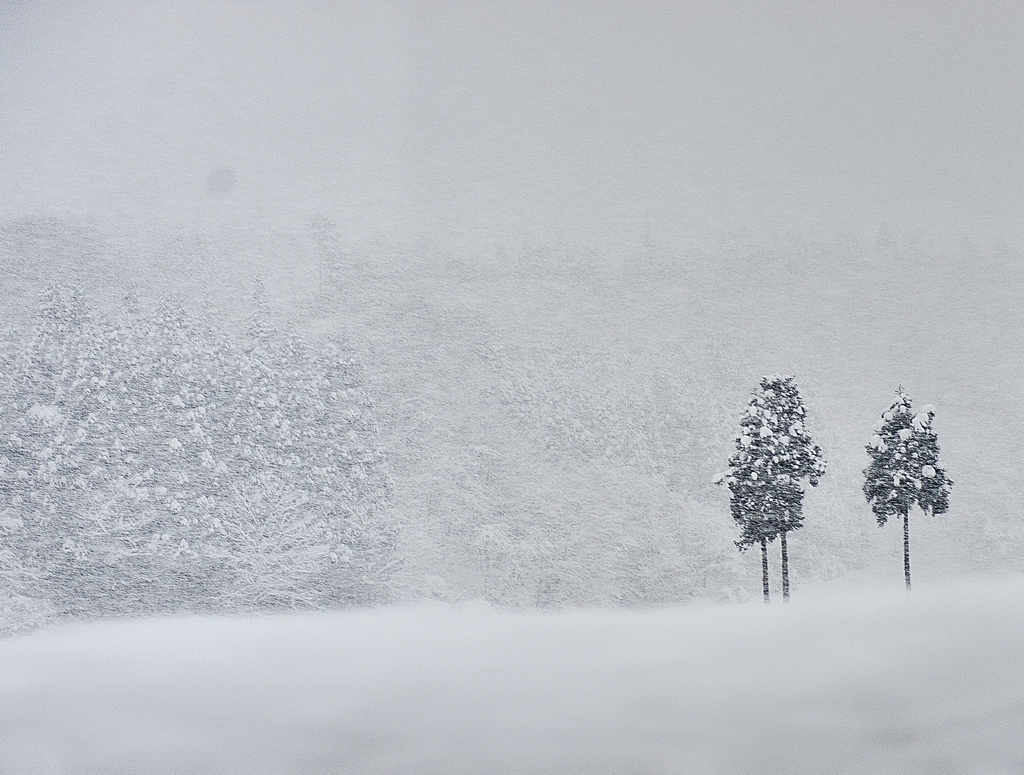吹雪の中で