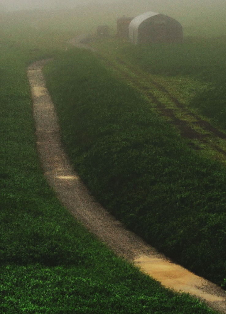 川霧の道