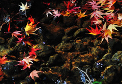 紅の流れ