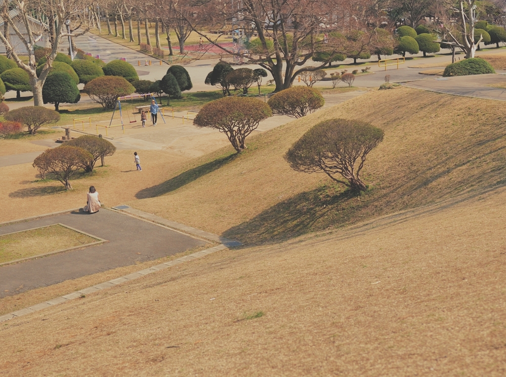 のびやかな公園で