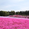 芝桜の丘