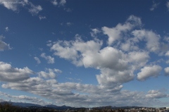 冬の空