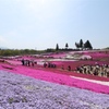 芝桜の丘