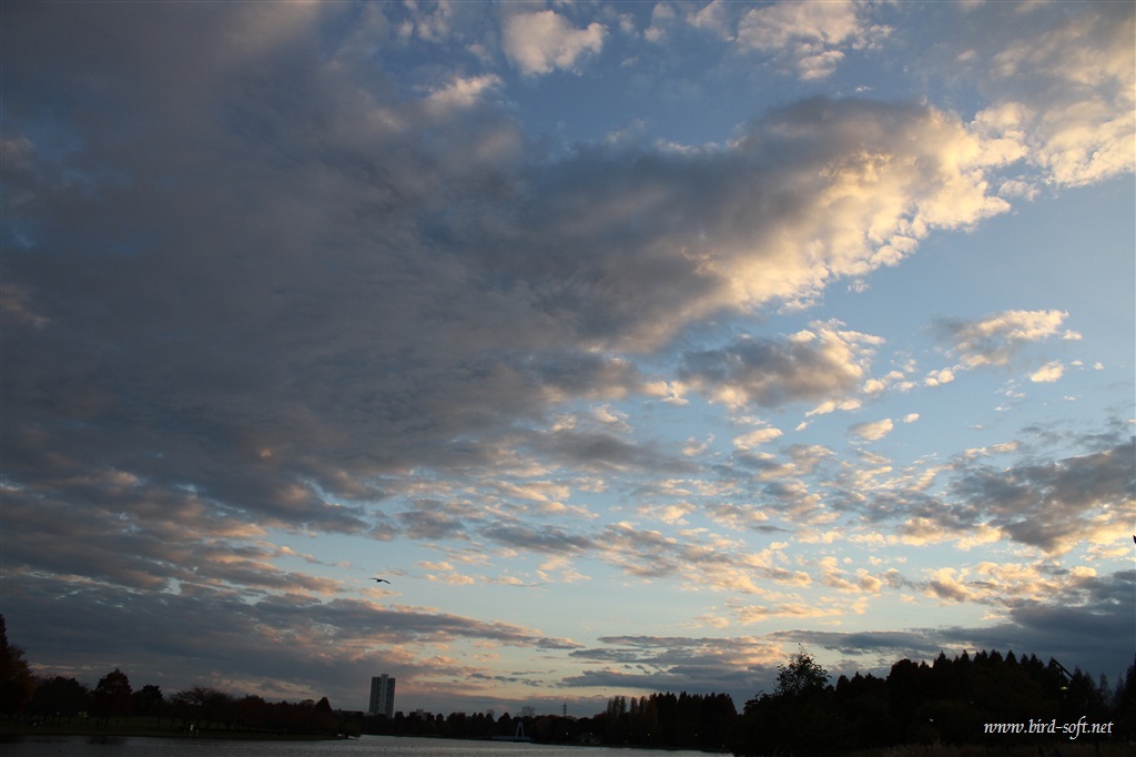 広い空