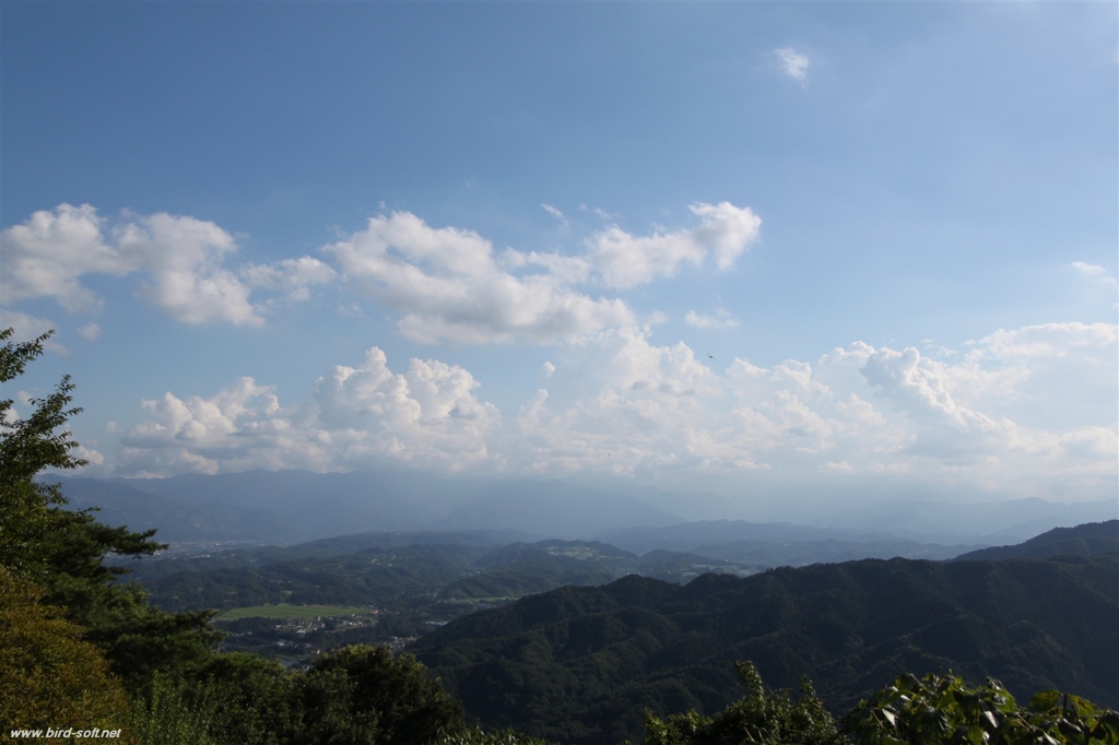 宝登山より眺める