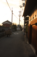 田舎道