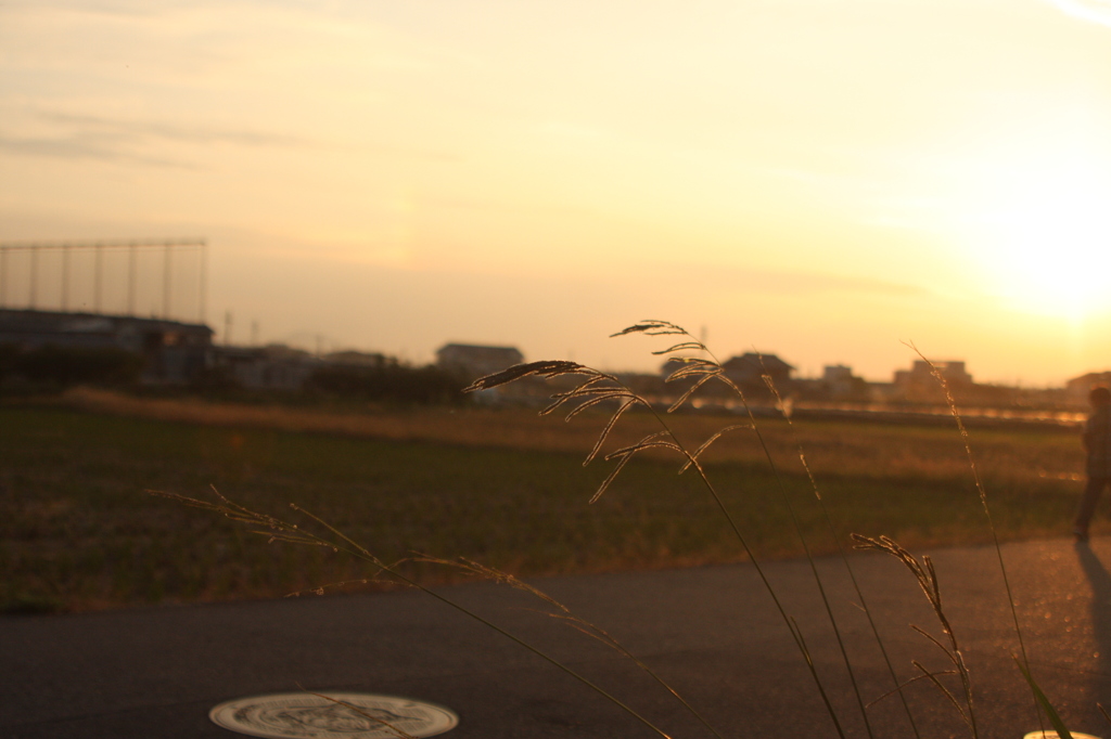 夕暮れ時