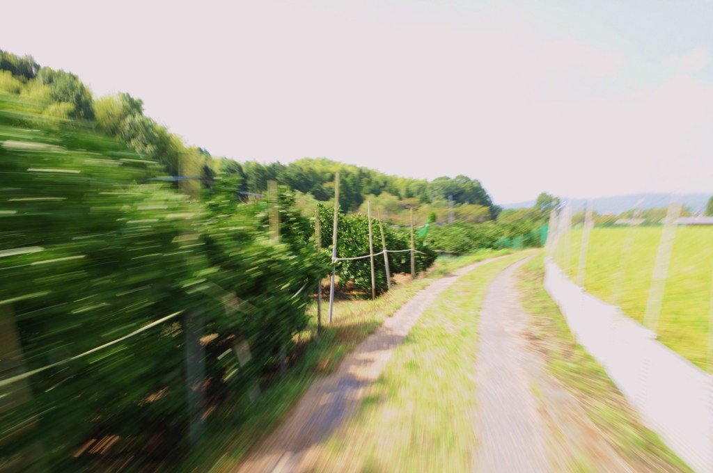 田舎道
