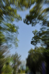 緑風