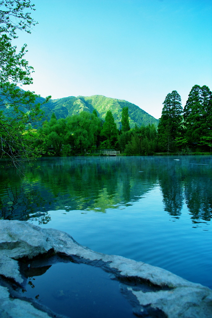 金鱗湖畔